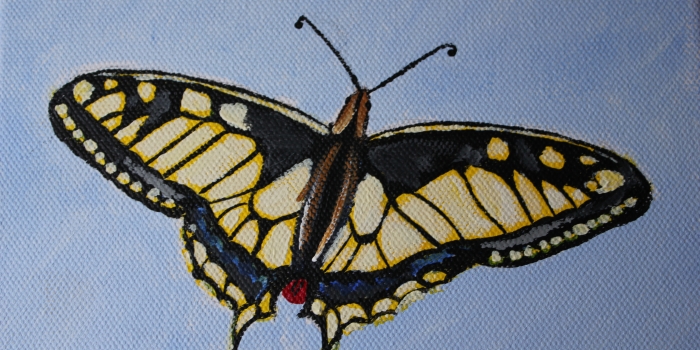 Vlinder Schilderij